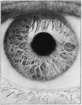 Eye Study Graphite by Kalgoras