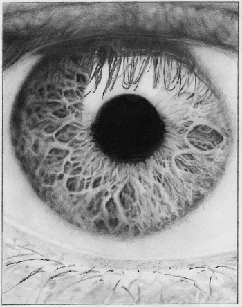 Eye Study Graphite