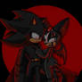 Shadow bat x rouge the cat