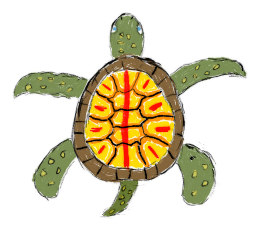 Deviantart Softshell Turtle Fancy-shelled Turtle by RandyCandy03 on DeviantArt