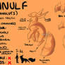 Ranulf Species Sheet