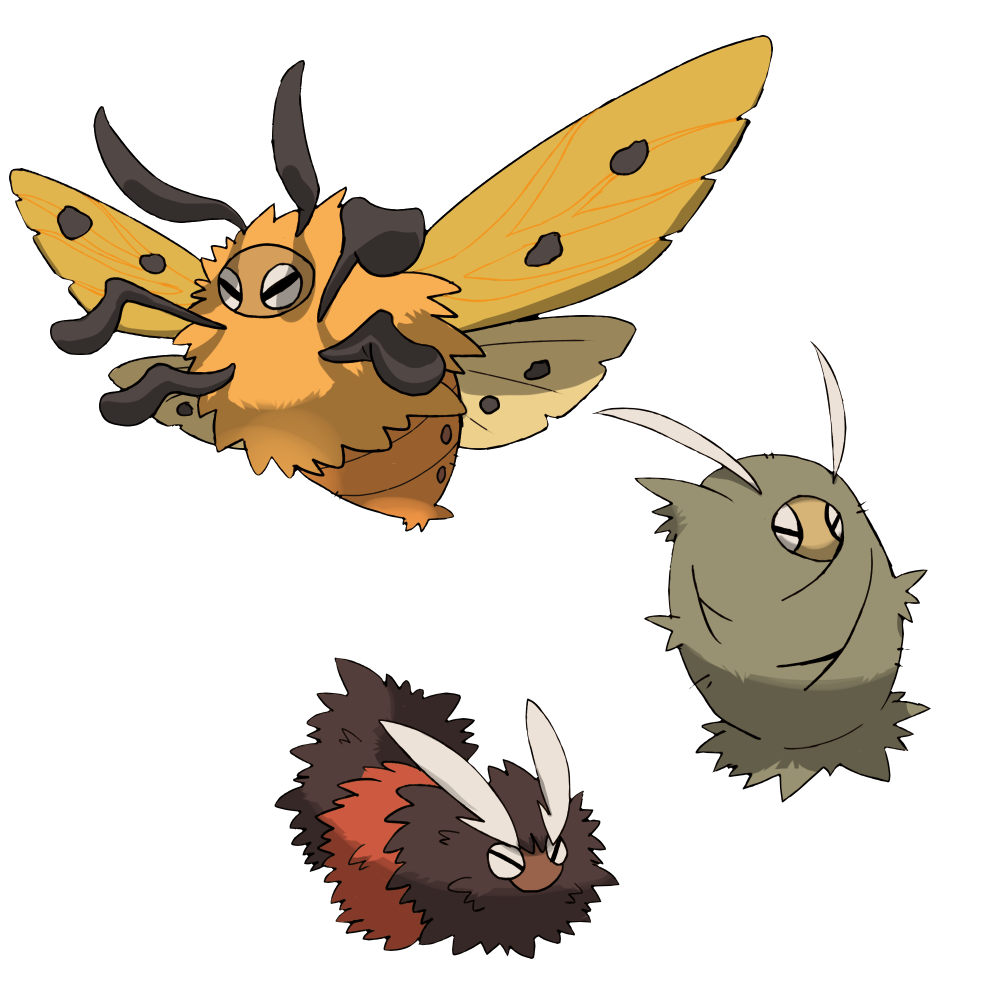 Moth Family