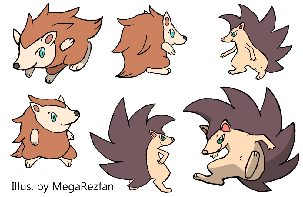 Hedgy | Dashog Concept Sheet