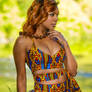 African Print