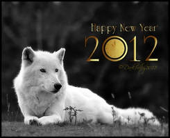 White_Wolf_2012