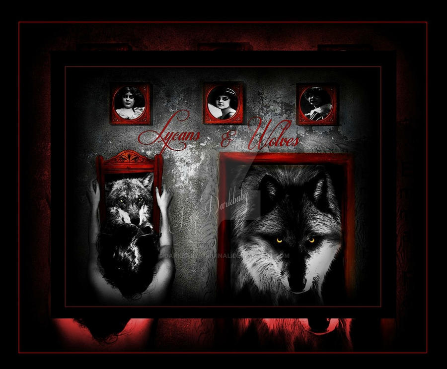 Lycans and Wolves by Darkbaby-Original on DeviantArt