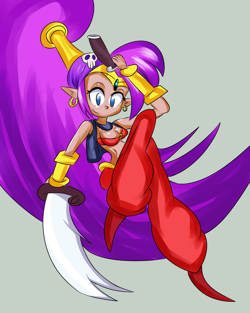 Shantae And The Pirate's Curse! by Megaxlex on DeviantArt.