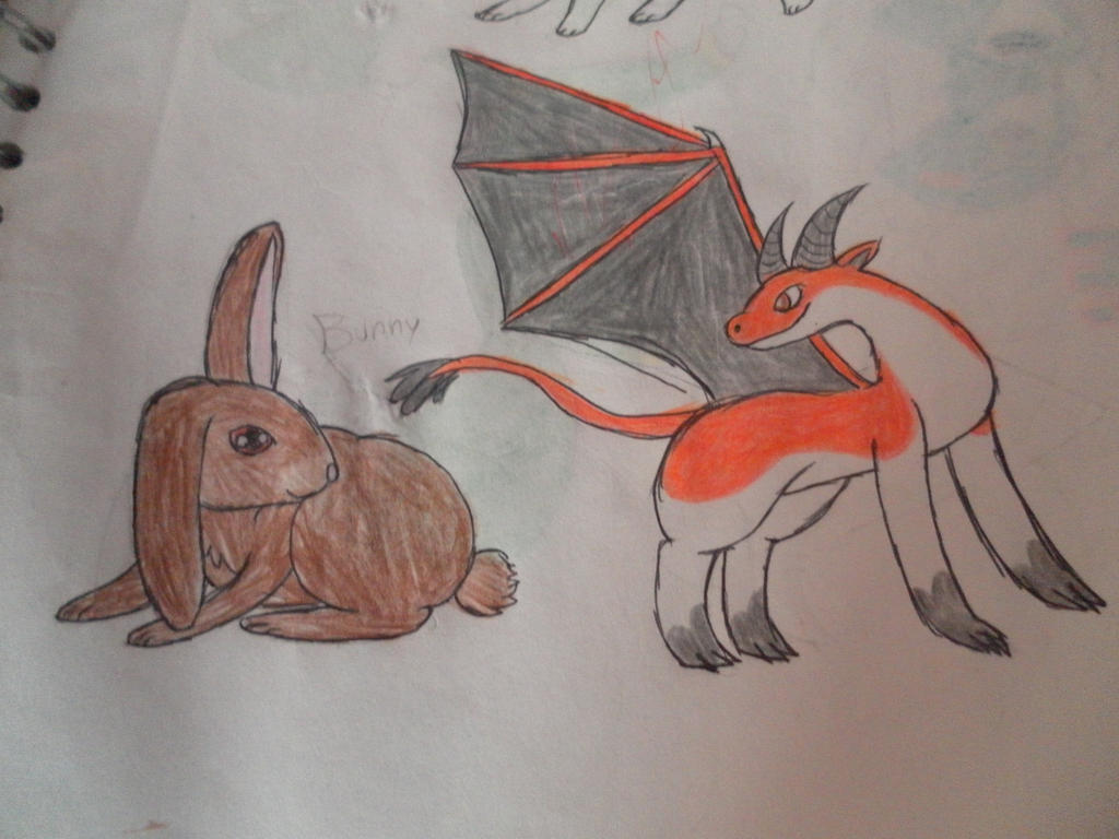 Bunny and Dragon by DinoSpine on DeviantArt