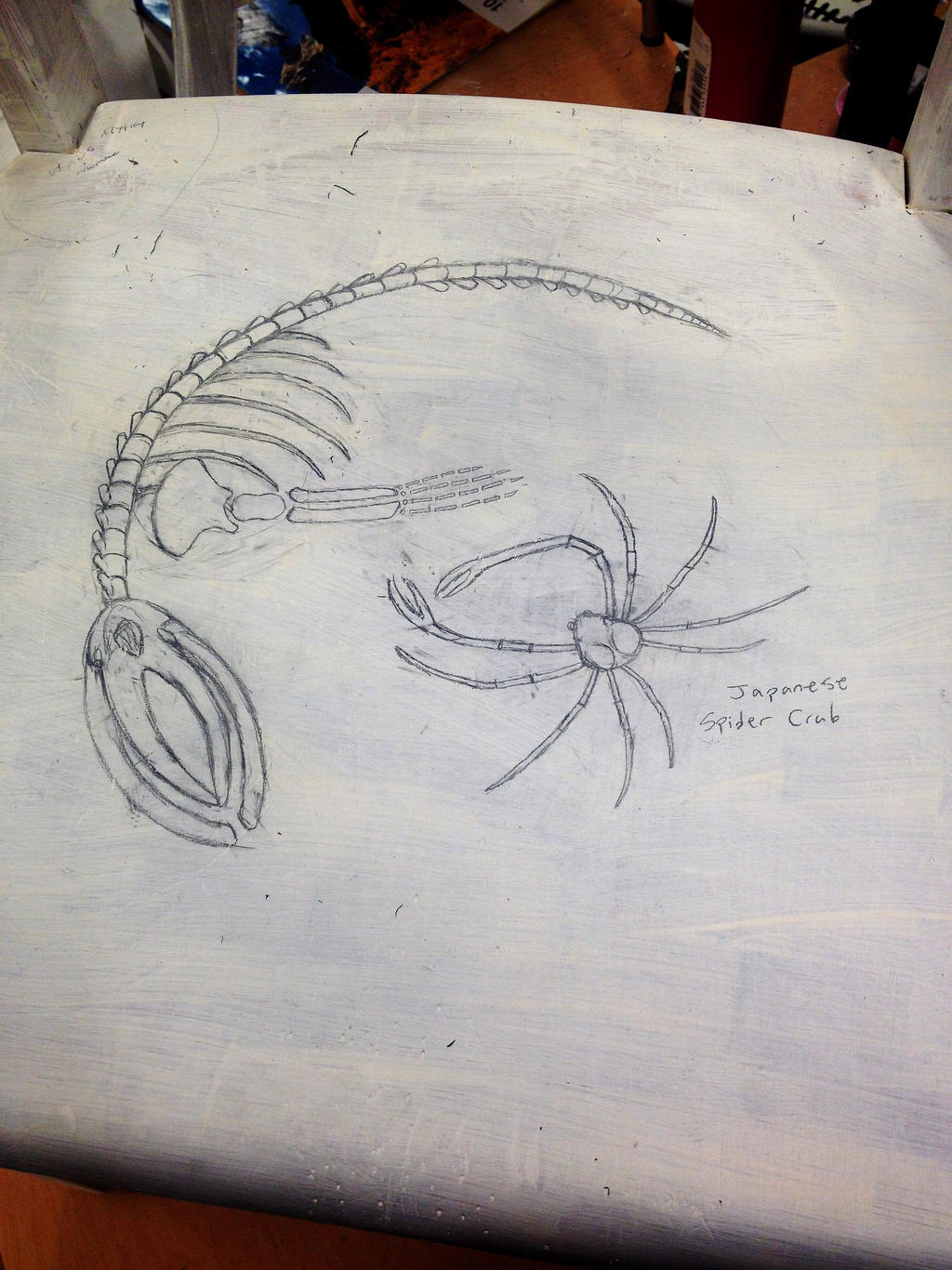 Whale Skeleton And Japanese Spider Crab By Dinospine On Deviantart Whale Skeleton And Japanese Spider Crab By Dinospine On Deviantart