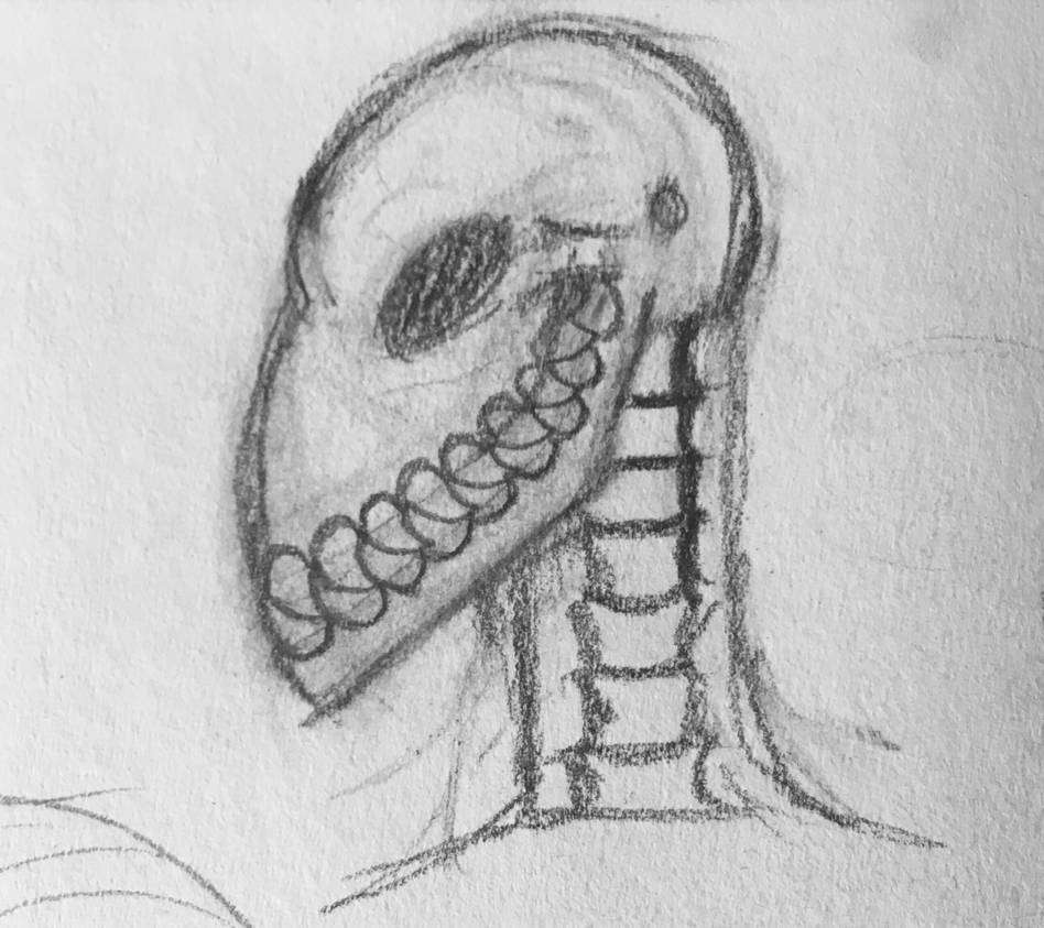 Dino Skull by DinoSpine on DeviantArt