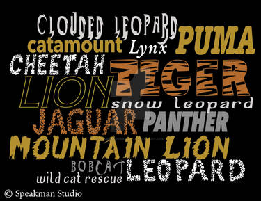 Big Cat Rescue Text Only Poster