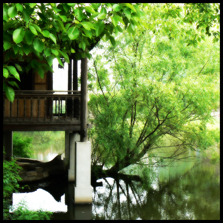 Shanghai Botanica Garden by JJ-Ying