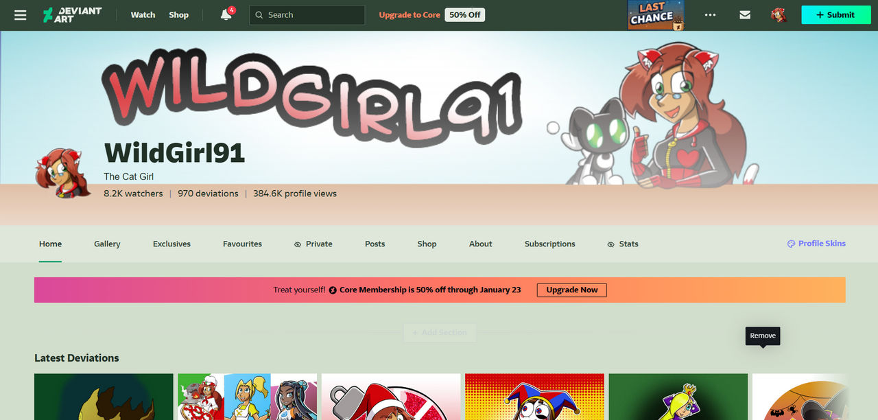 Generic Deviantart Profile My DA profile by WildGirl91 on DeviantArt