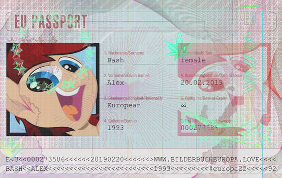 Official Pony Passport