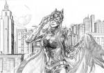 Batgirl ready for action by cric