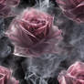Fragile rose with smoke