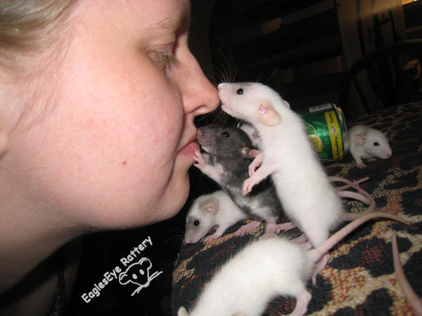 Bunch of Baby Kisses