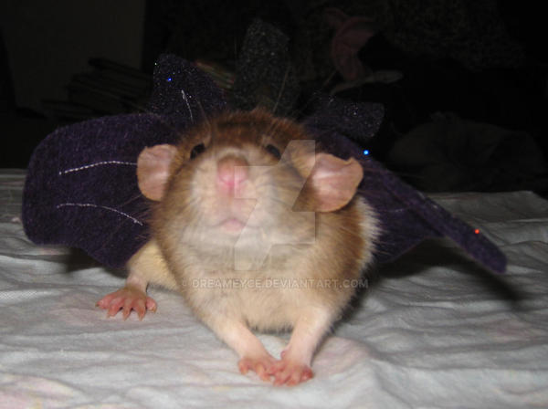 Fariy Rats Smiling Fairy Rat by DreamEyce on DeviantArt