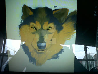 Wip - Wolf