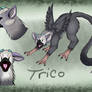 Trico