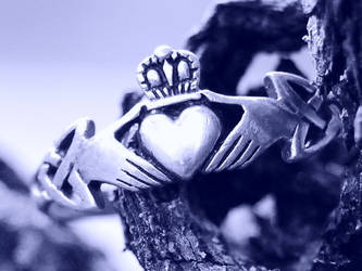 cyanotype claddagh