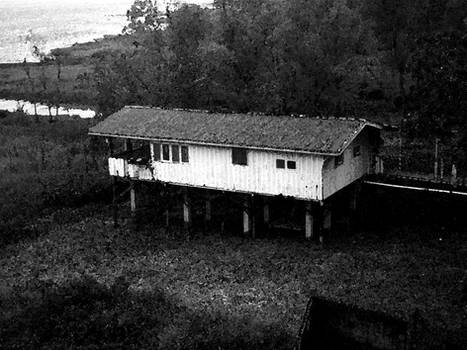 lonely old lake house