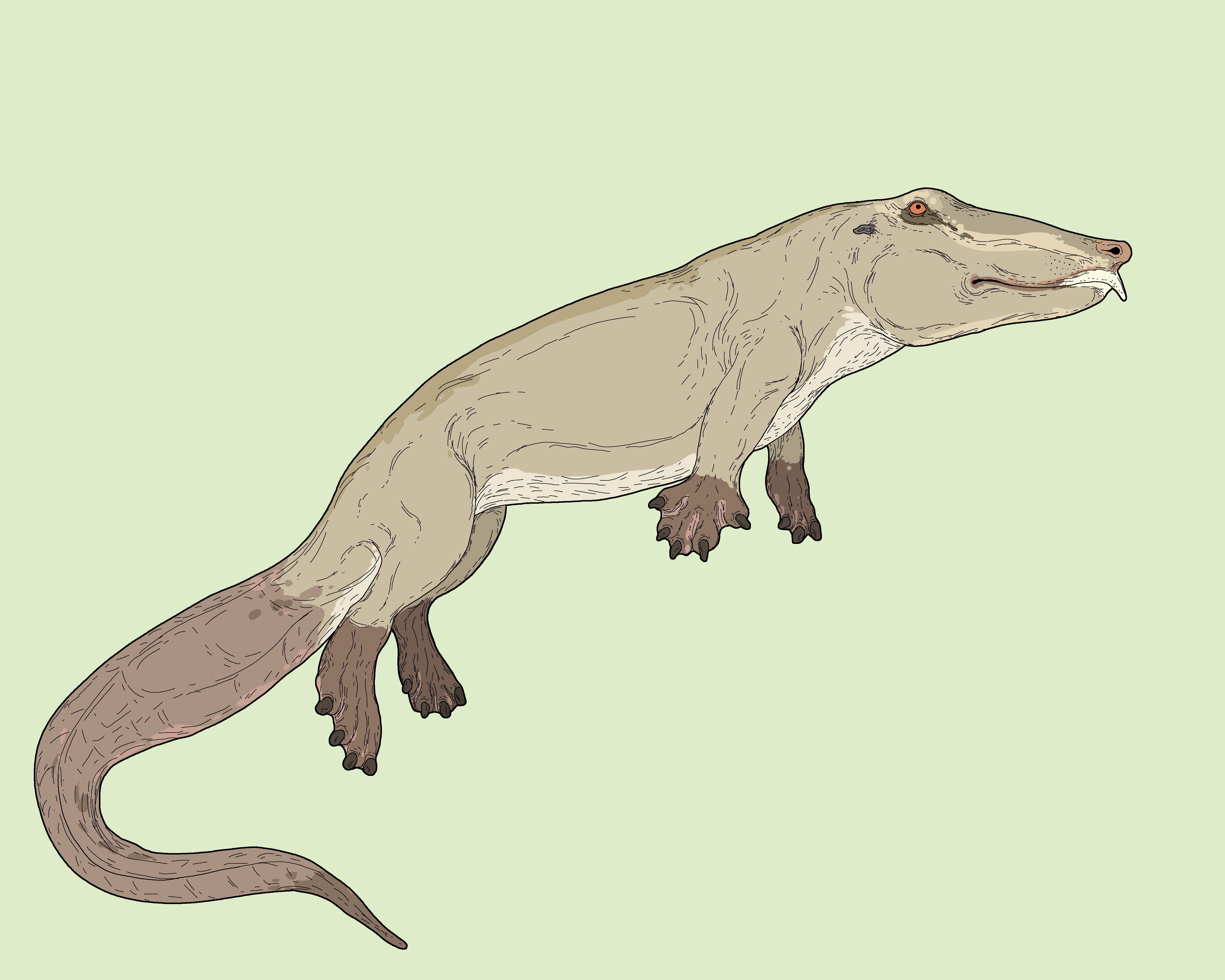Rat Croc by kret-spec on DeviantArt