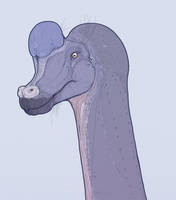 Brachiosaurus