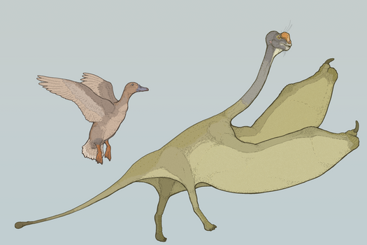 Flying Sauropod