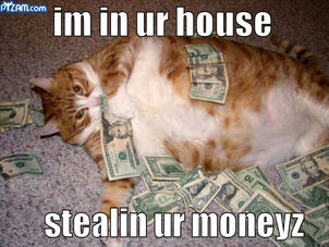 awwwwwww kitty stealin moneyz