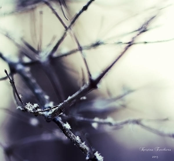 Snowflake by Elanor90