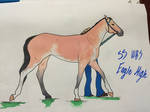 Introducing SS WBS Eagle High by HorsesRunninByMe