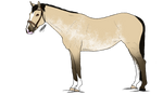SS-T | WBS Eagle High by HorsesRunninByMe
