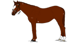 SS-T WBS | Sorry by HorsesRunninByMe