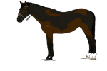 SS-T | WBS 7 Years Old by HorsesRunninByMe