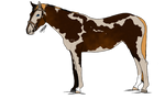 SS-T WBS | Roofluss by HorsesRunninByMe