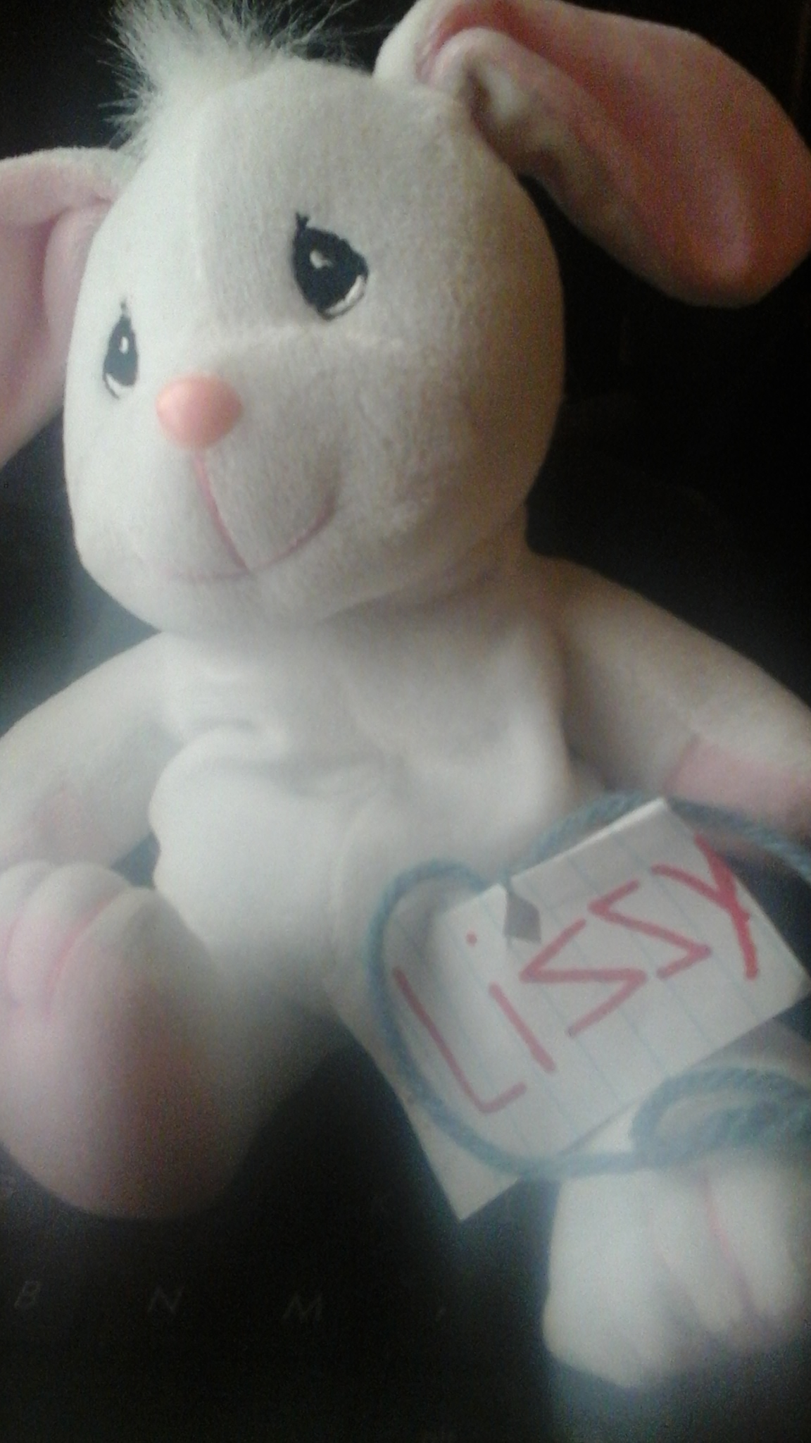 From My Childhood: Lizzy the Rabbit