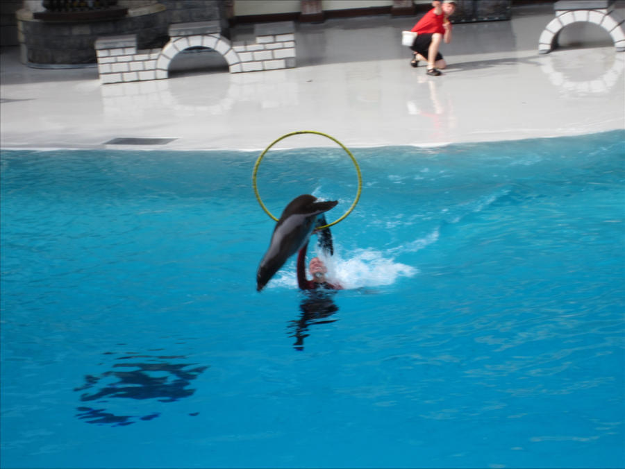 Deviantart Animal Jumping An animal jumping through by Makivka on DeviantArt