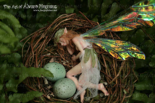 Fairy girl sleeping in a nest