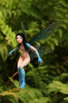 Blue faerie
