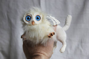 Domestic gryphon kitten / Cria de grifo domestico