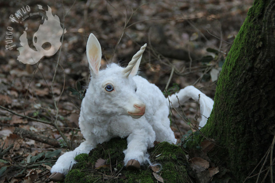 Unicorn fawn