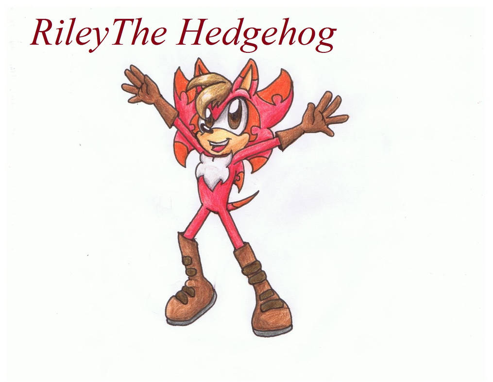 Riley The Hedgehog by CourtneyCat101 on DeviantArt