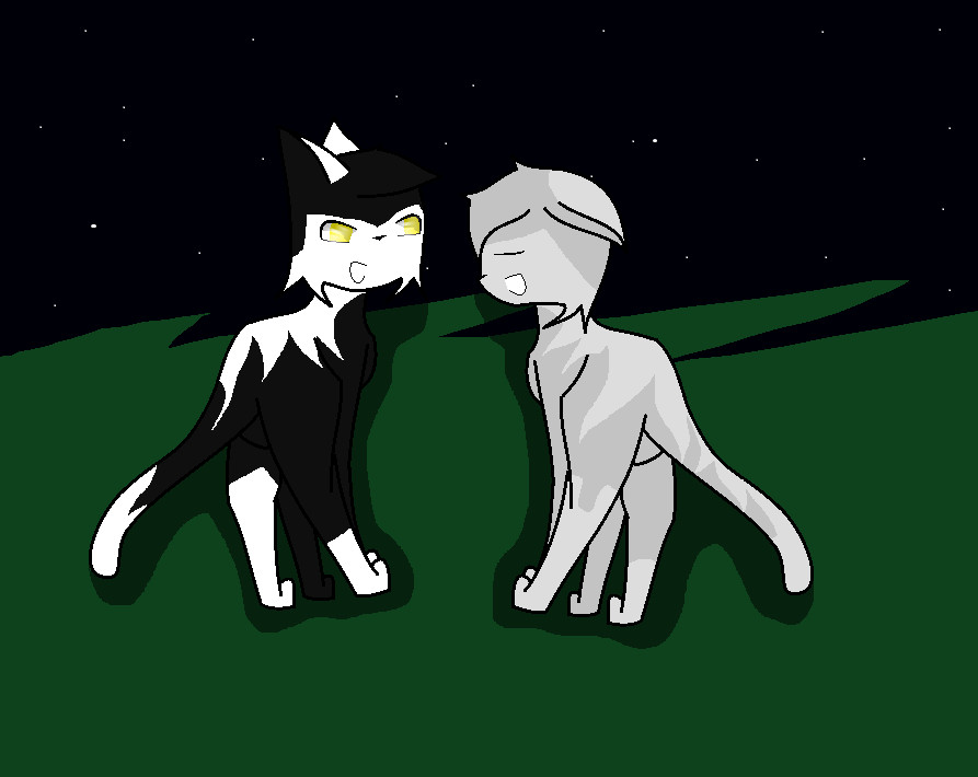 May StarClan guide our journey