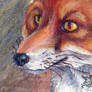 Foxy fox practice