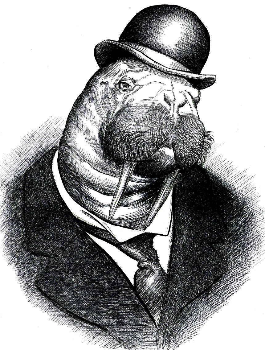 19th. Century Walrus