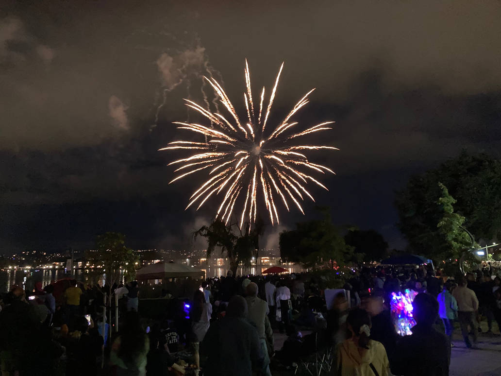 Foster City 4th of July firework show by drawasaurus04 on DeviantArt