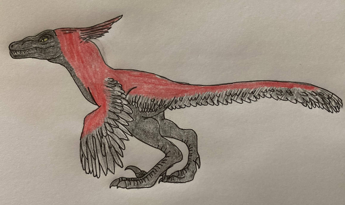 Pyroraptor by drawasaurus04 on DeviantArt