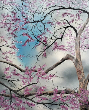 Redbud Before the Storm by molecularart