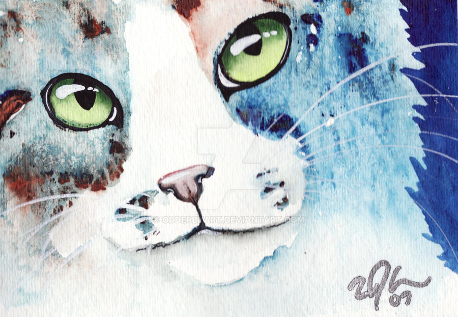 Deviantart Coy Coy by OdderByArt on DeviantArt